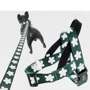 Unleash the Adventure: The Adjustable Vest-Style Pet Harness and Walking Leash