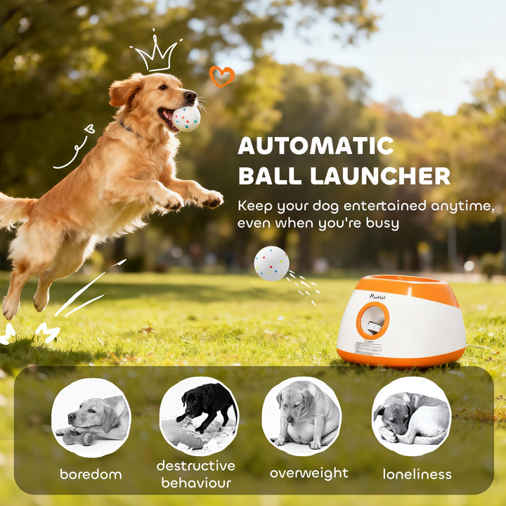 Unleash the Fun with the Automatic Dog Ball Launcher