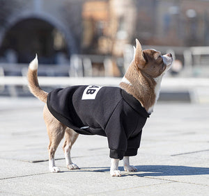 Stylish Clothes For Happy Pets